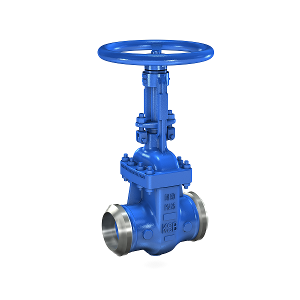 https://cpprocessequip.com/wp-content/uploads/2026/04/Butt-Weld-Valves.png