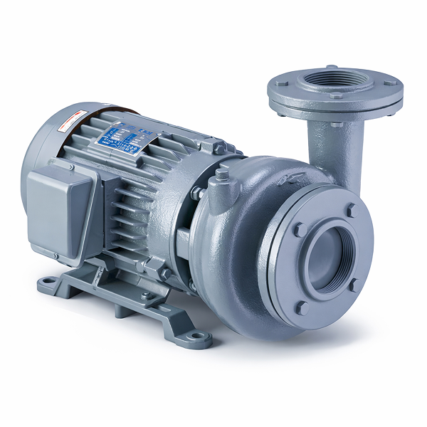 https://cpprocessequip.com/wp-content/uploads/2026/04/Cast-Iron-Pumps.png