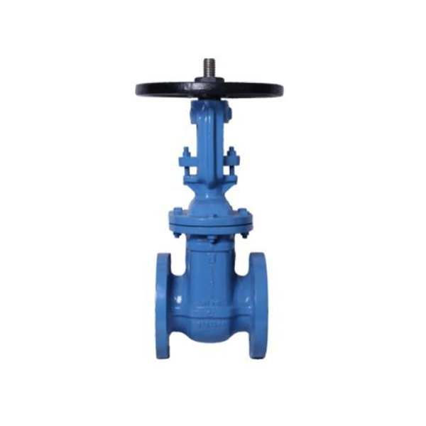 https://cpprocessequip.com/wp-content/uploads/2026/04/Cast-Iron-Valves.png