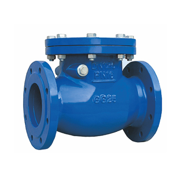 https://cpprocessequip.com/wp-content/uploads/2026/04/Check-Valves.png
