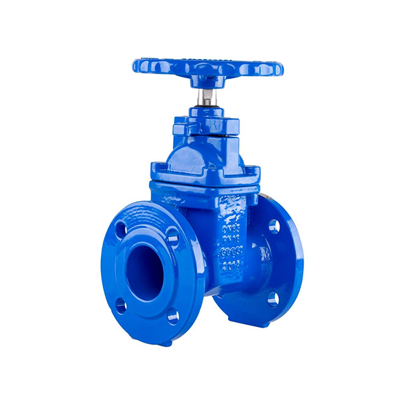 https://cpprocessequip.com/wp-content/uploads/2026/04/Ductile-Iron-Valves.png