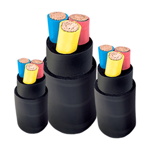 https://cpprocessequip.com/wp-content/uploads/2026/04/Rubber-Insulated-Cables.png