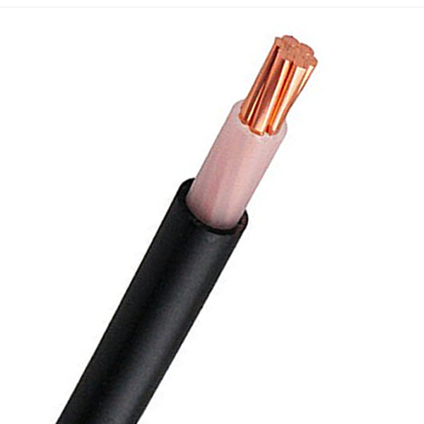 https://cpprocessequip.com/wp-content/uploads/2026/04/Single-Core-Cables.png